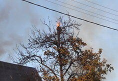 Gaisro vietoje