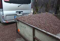 Avarijos vietoje