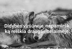 Banditizmo romantizavimas