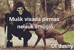 Banditizmo romantizavimas