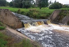 Patvinęs Nevėžis