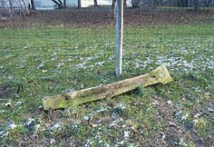 Šunų aikštelė Antakalnyje