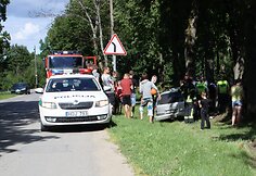 Nuo kelio nuvažiavo &bdquo;Opel Omega&ldquo; ir skaudžiai rėžėsi į medį