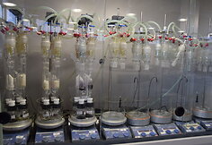 „Hohenstein“ laboratorijoje