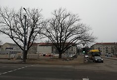 Rinkimai &Scaron;iauliuose