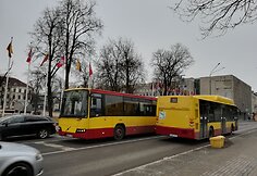Rinkimai &Scaron;iauliuose