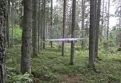 Basakojų takas