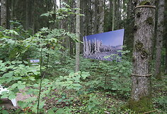 Basakojų takas