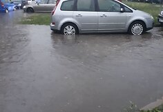 Liūtis Šiauliuose