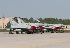 Lenkų naikintuvai NATO bazėje