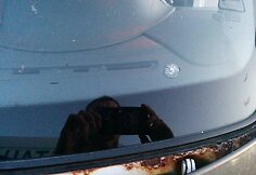 Apšaudyti automobiliai