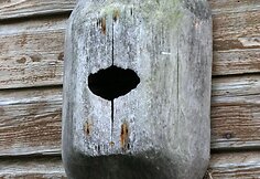 "Saulėtųjų naktų" sodyba