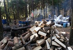 Barvų kaimo eglyne veikė naminės degtinės fabrikas