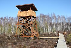 Atidarytas Mū&scaron;os tyrelio draustinio pažintinis takas