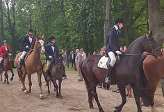 Žagarės dvare – trofėjų paroda su lapių medžioklės imitacija