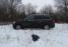Trileris Alytuje: policija su &scaron;ūviais gaudė vogtą automobilį ir &bdquo;&scaron;ukerius&ldquo;