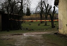 Griežpelkių kaime rastas vyro kūnas su smurto žymėmis