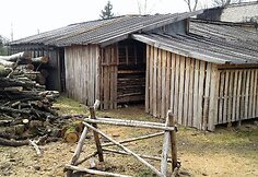 Ruzgų mokykla