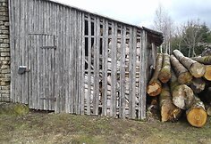 Ruzgų mokykla