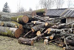 Ruzgų mokykla