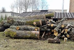 Ruzgų mokykla