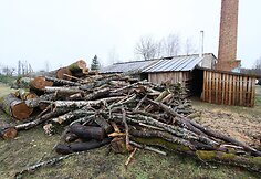 Ruzgų mokykla