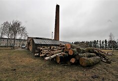 Ruzgų mokykla