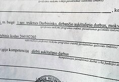 Darbas &Scaron;vedijoje: invalidai tampa auk&scaron;talipiais, lietuviai nesumoka lietuviams