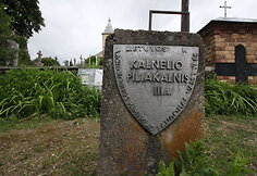 Kalnelio piliakalnis