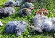 Šiaulių rajono gyventojo sodyboje rasta 18 neteisėtai laikytų tinklų