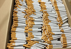 Mažeikių rajone vietoje lentpjūvės – užmaskuotas nelegalus cigarečių fabrikas