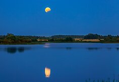 Pareigūno M.Jackevičiaus fotografija