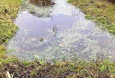 Niekieno sklypas užtvindė kaimą ir demaskavo biurokratų bejėgystę