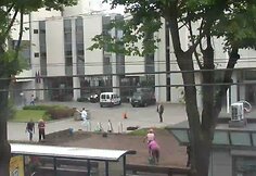 Kaune vaizdo kameros užfiksuoja daug pažeidimų