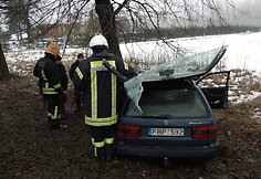 Kauno rajone į medį rėžėsi &bdquo;VW Passat&ldquo;