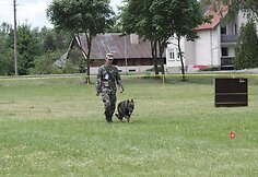Pasieniečių tarnybinių &scaron;unų čempionato akimirkos