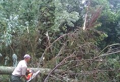 Audros nusiaubta Labanoro giria 