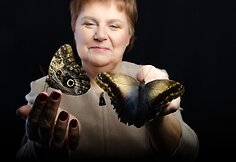 Tropinių drugelių paroda. Jūratė Kančiauskienė