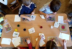 Dailės studijos veikla