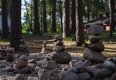 Jurga ir Mindaugas Vidugiriai savo veiklose