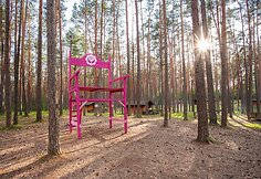 Jurga ir Mindaugas Vidugiriai savo veiklose
