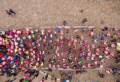 Bėgimas „Pink Run su BENU“