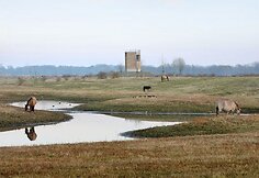 Belgai pasistatė plūktos žemės bok&scaron;tą