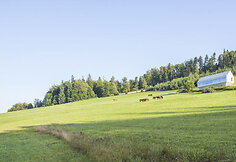 Namas Lenkijoje, Krokuvoje 