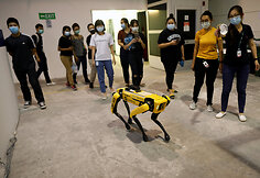 Laikinojoje Singapūro ligoninėje specialiai COVID-19 pacientams robotas &bdquo;Spot&ldquo; atliko vaistų i&scaron;ne&scaron;iotojo vaidmenį