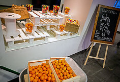 Programavimo konferencija „Build Stuff“