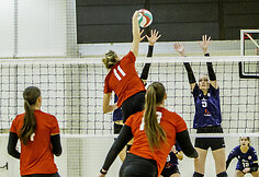 Lietuvos moterų tinklinio pirmenybių pusfinalis.