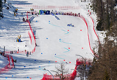 Neringa Stepanauskaitė