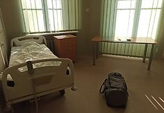 I.Labanauskaitės izoliacija Vasaros g. 5
