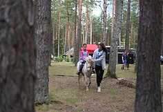 Festivalio &bdquo;VAROM! summer fest&lsquo;17&ldquo; publika vos spėjo &scaron;ėlti